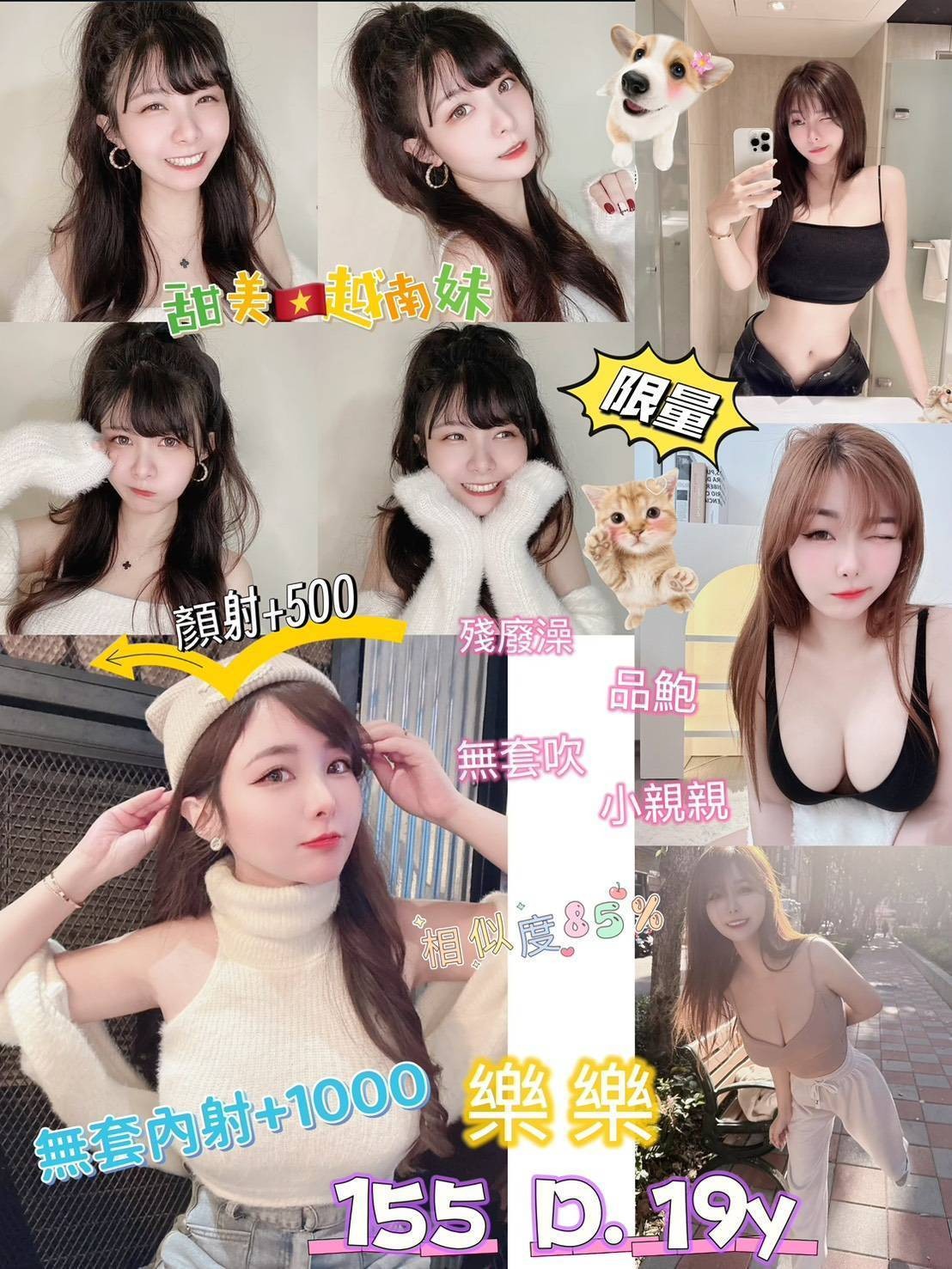 越南新北樂樂定點圖片