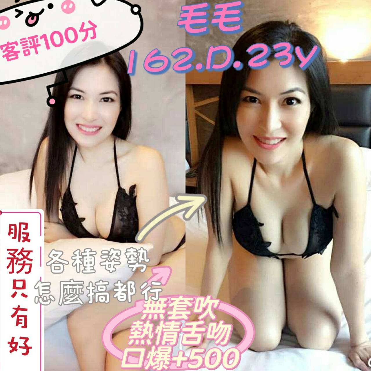 越南新北毛毛定點圖片