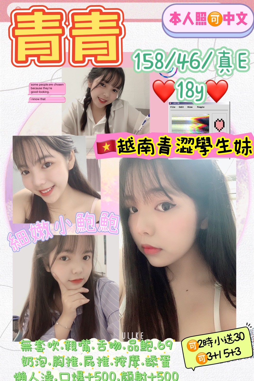 越南新北青青定點圖片