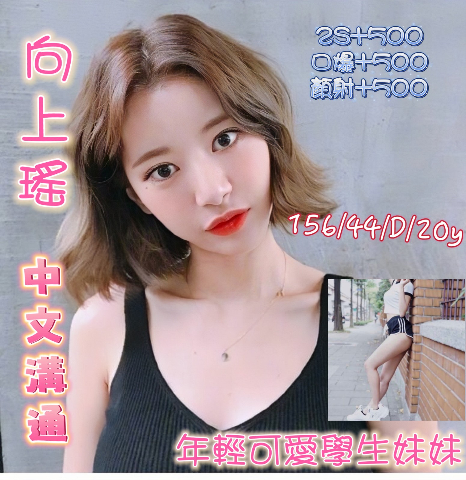 越南新竹向上瑤定點圖片