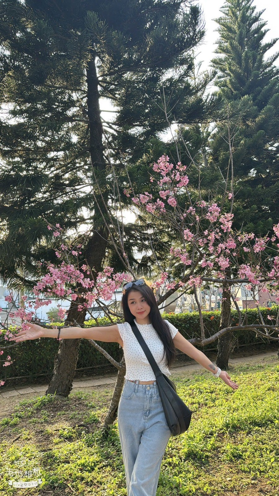 越南新竹皮皮定點圖片