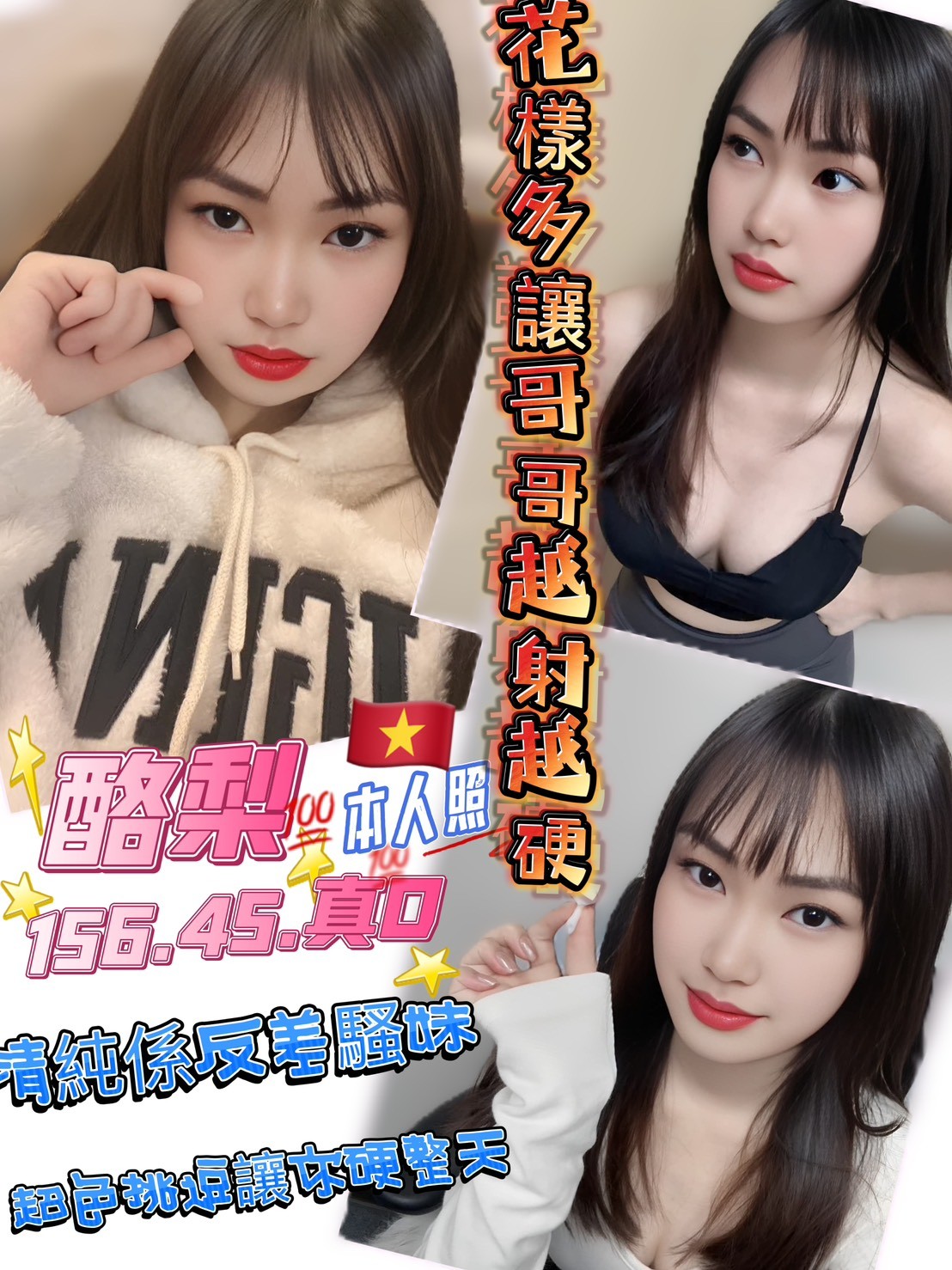 越南新竹酪梨定點圖片