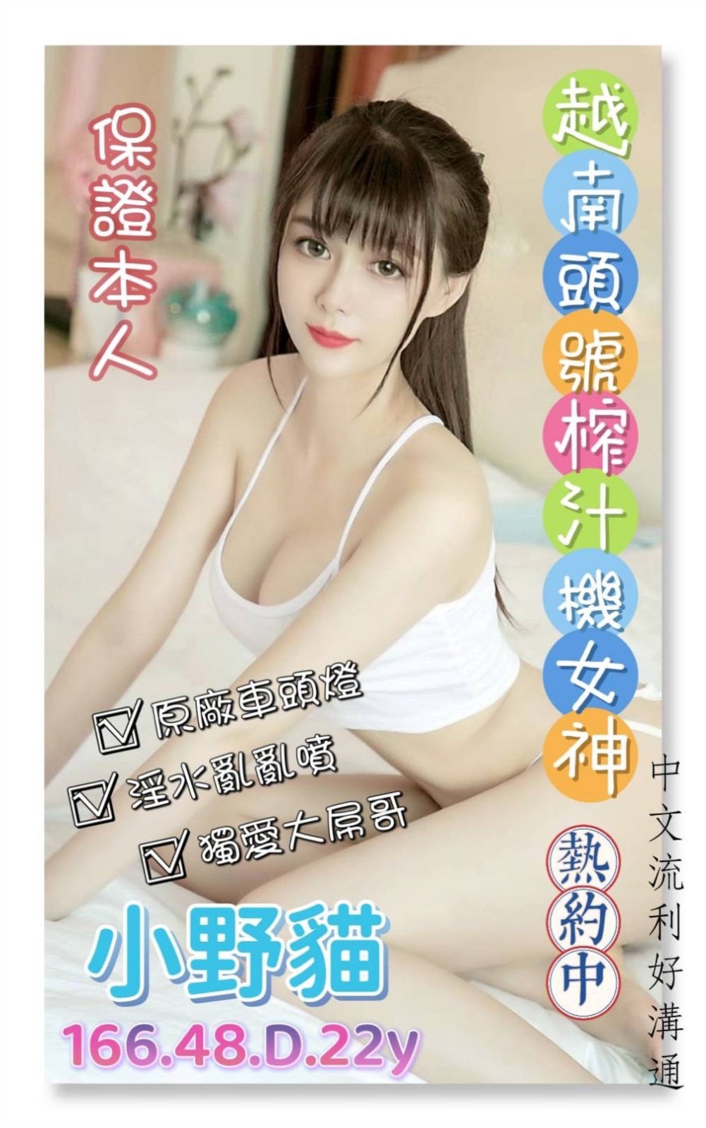 越南桃園小野貓定點圖片