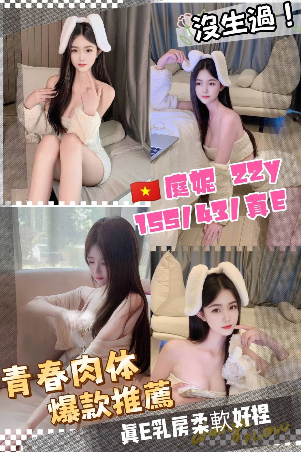 越南桃園庭妮定點圖片