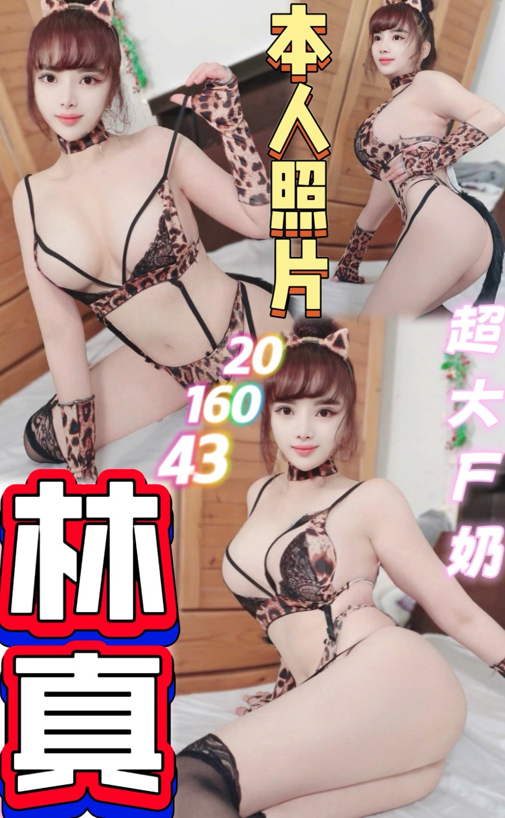 越南桃園林真定點圖片