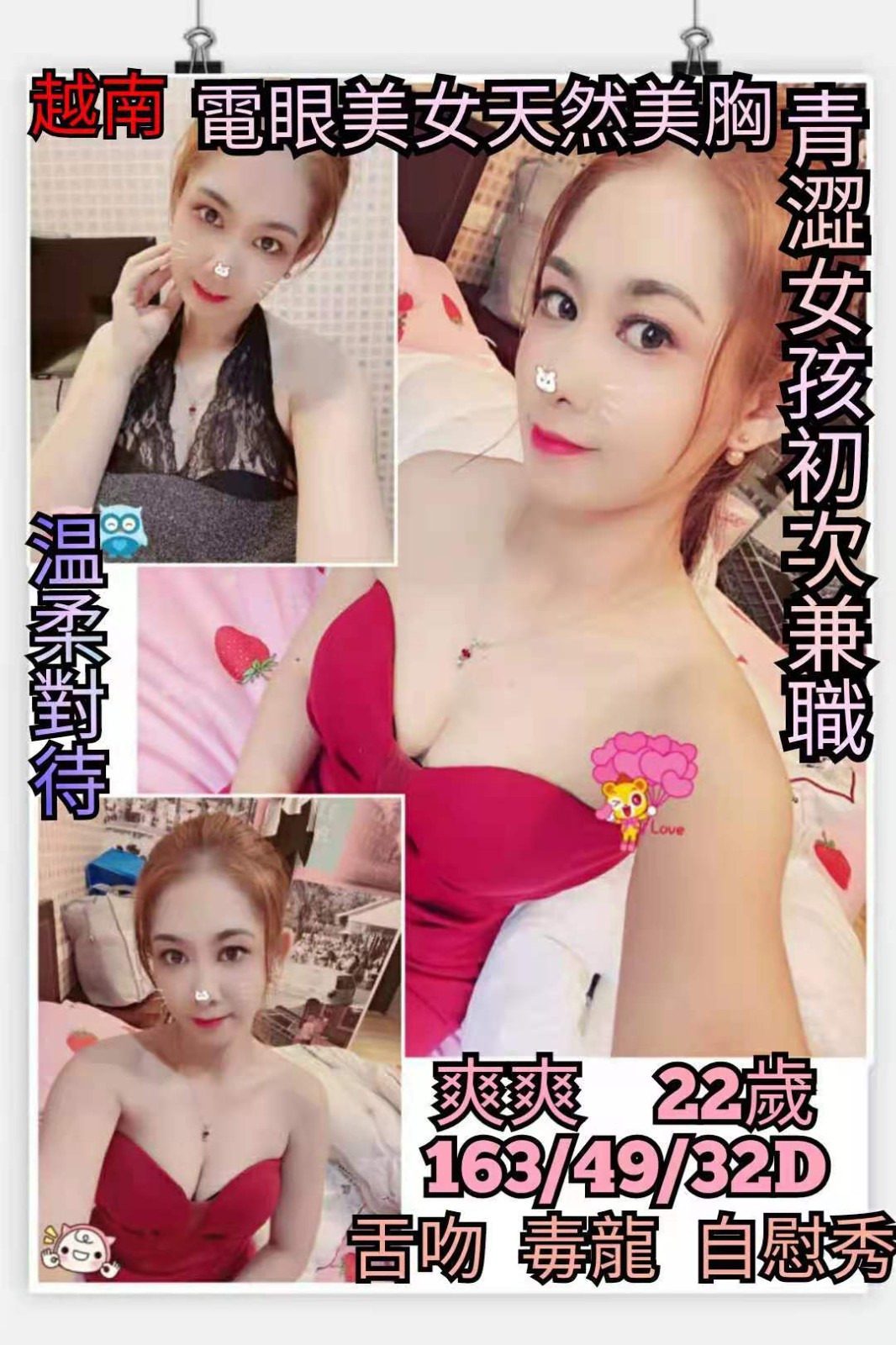 越南桃園爽爽定點圖片