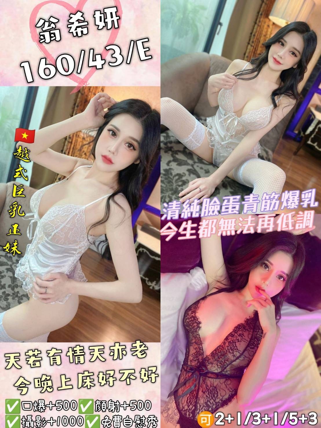 越南桃園翁希妍定點圖片