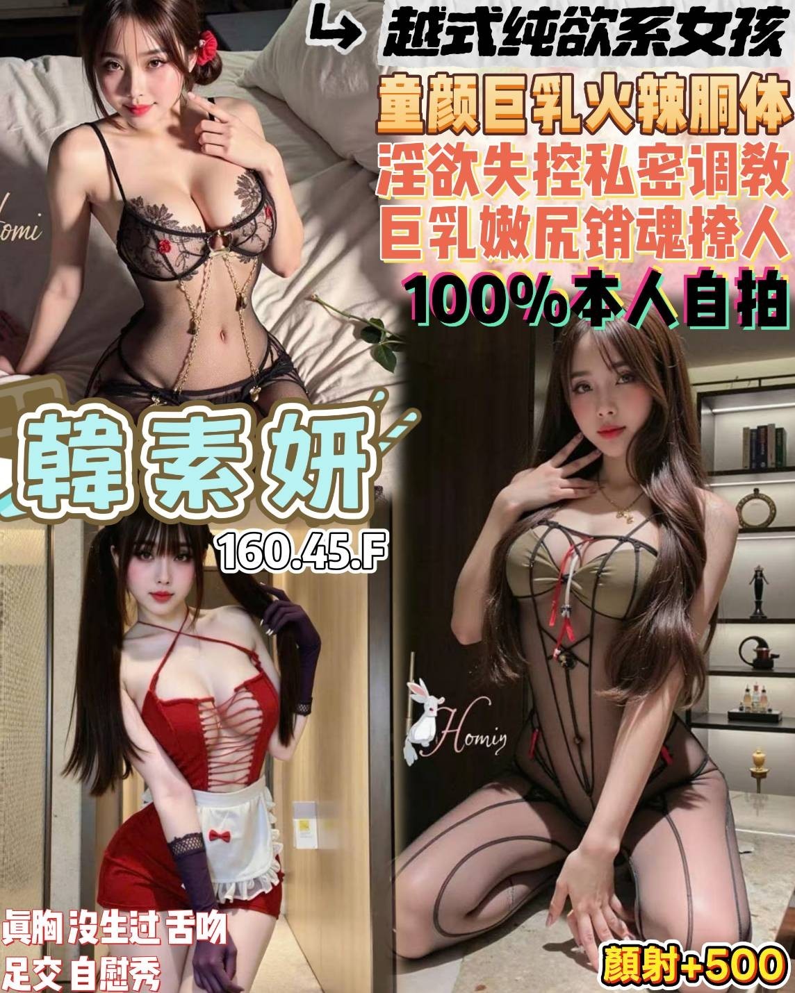 越南桃園韓素姸定點圖片