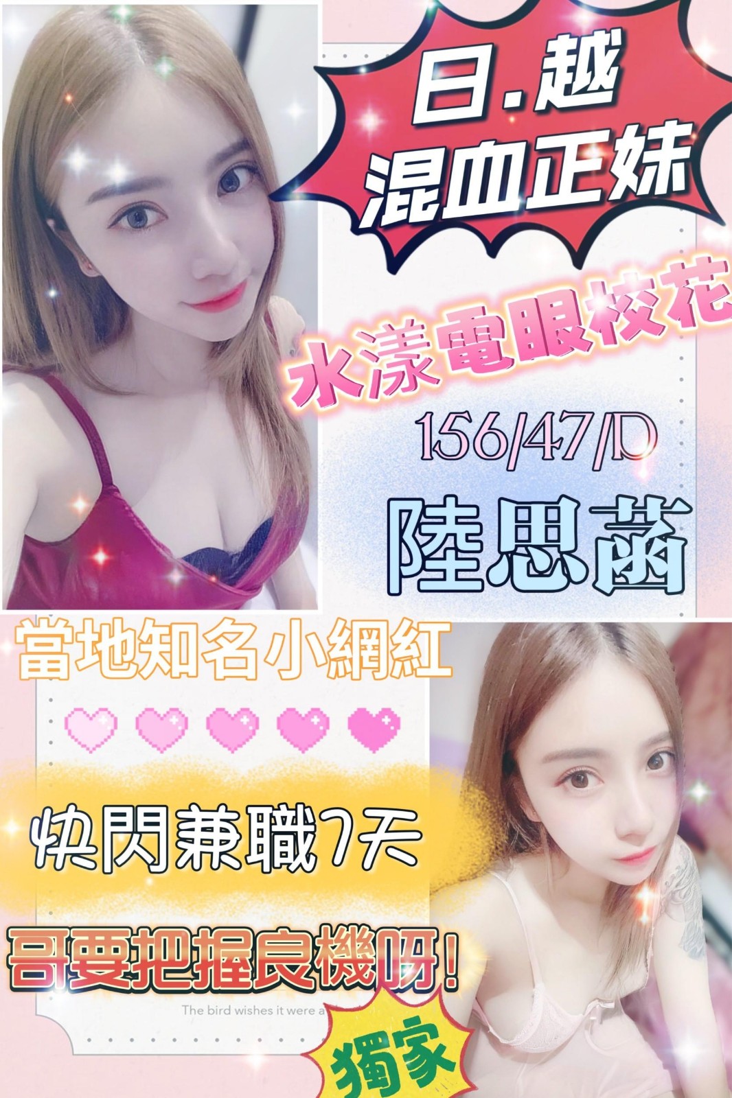 越南苗栗陸思涵定點圖片