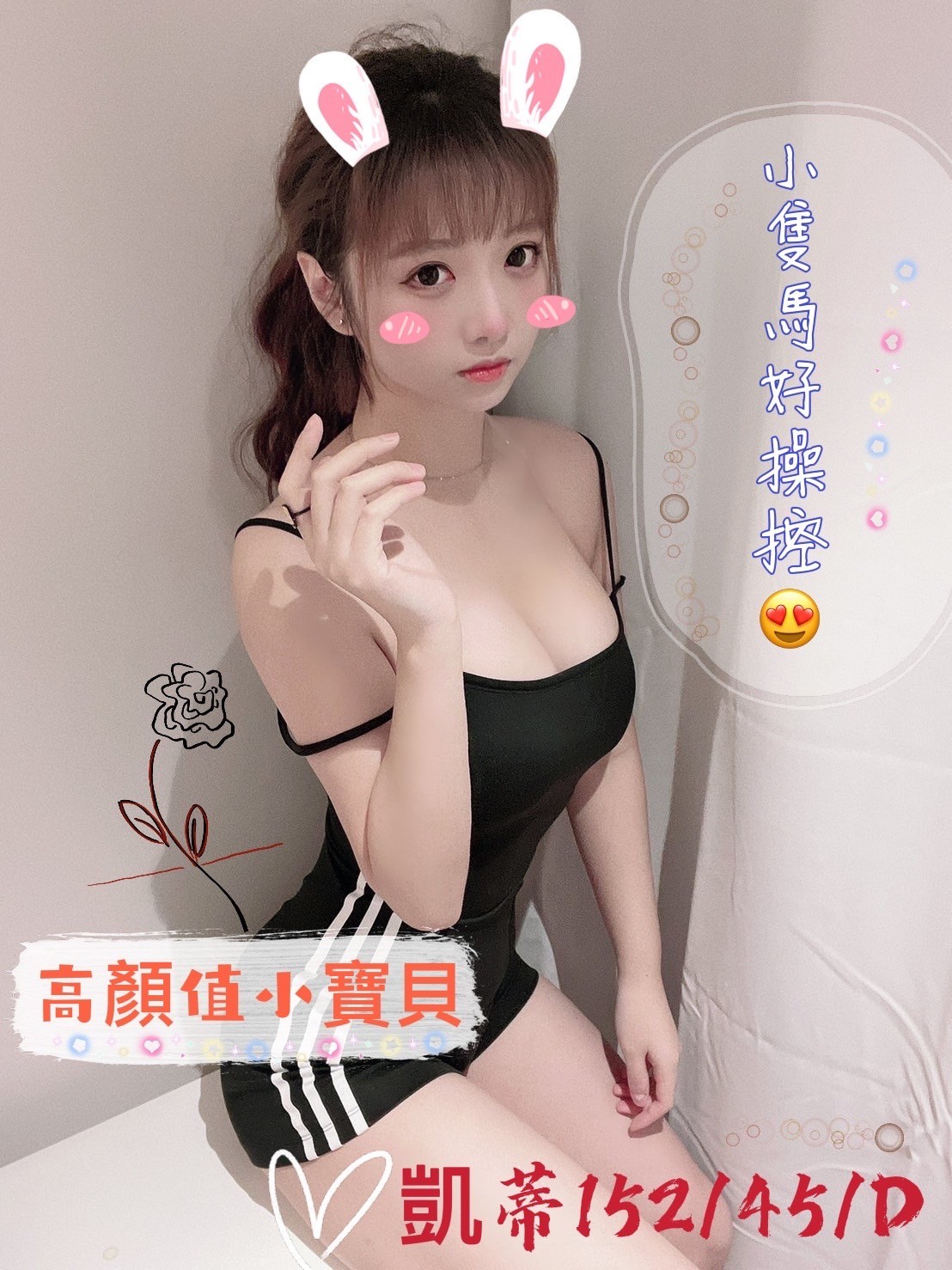 越南高雄凱蒂定點圖片