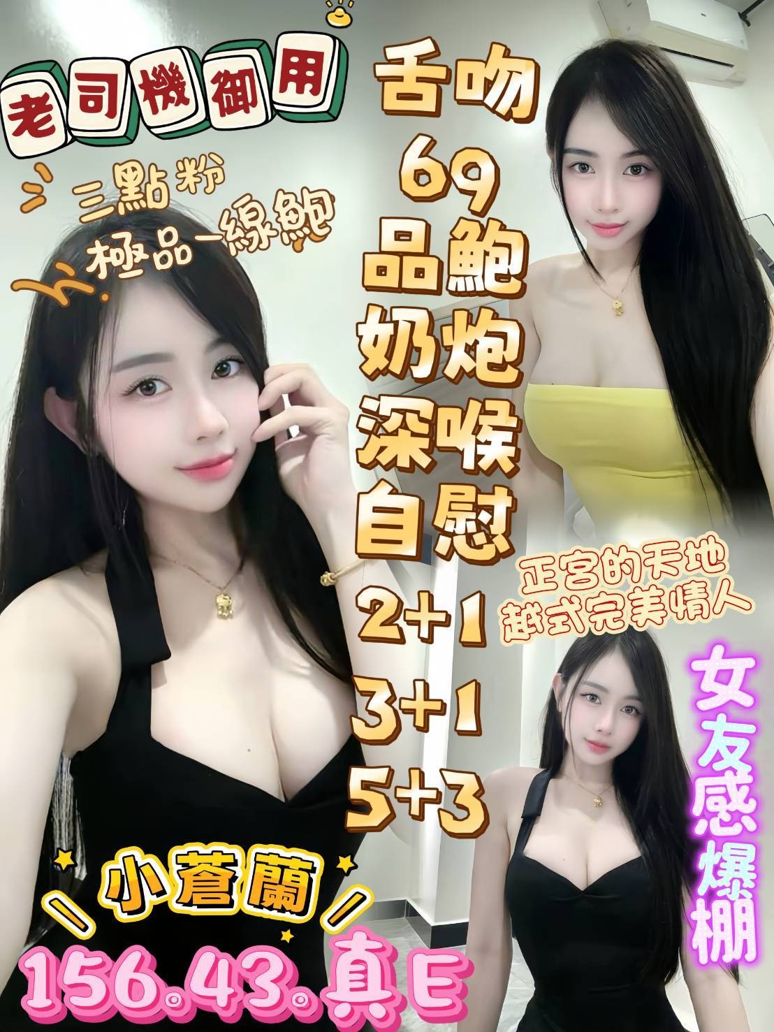 越南高雄小蒼蘭定點圖片