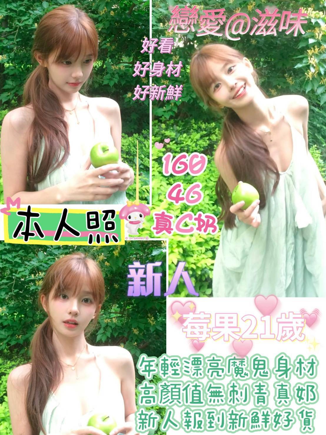 馬來西亞台南莓果定點圖片