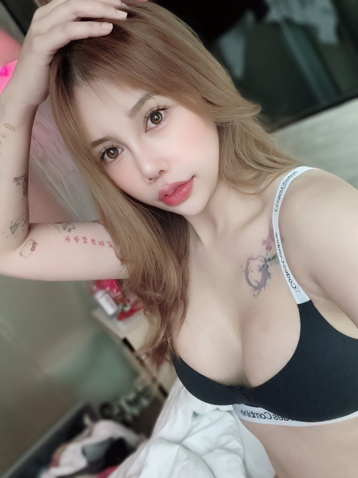 馬來西亞嘉義凱希定點圖片