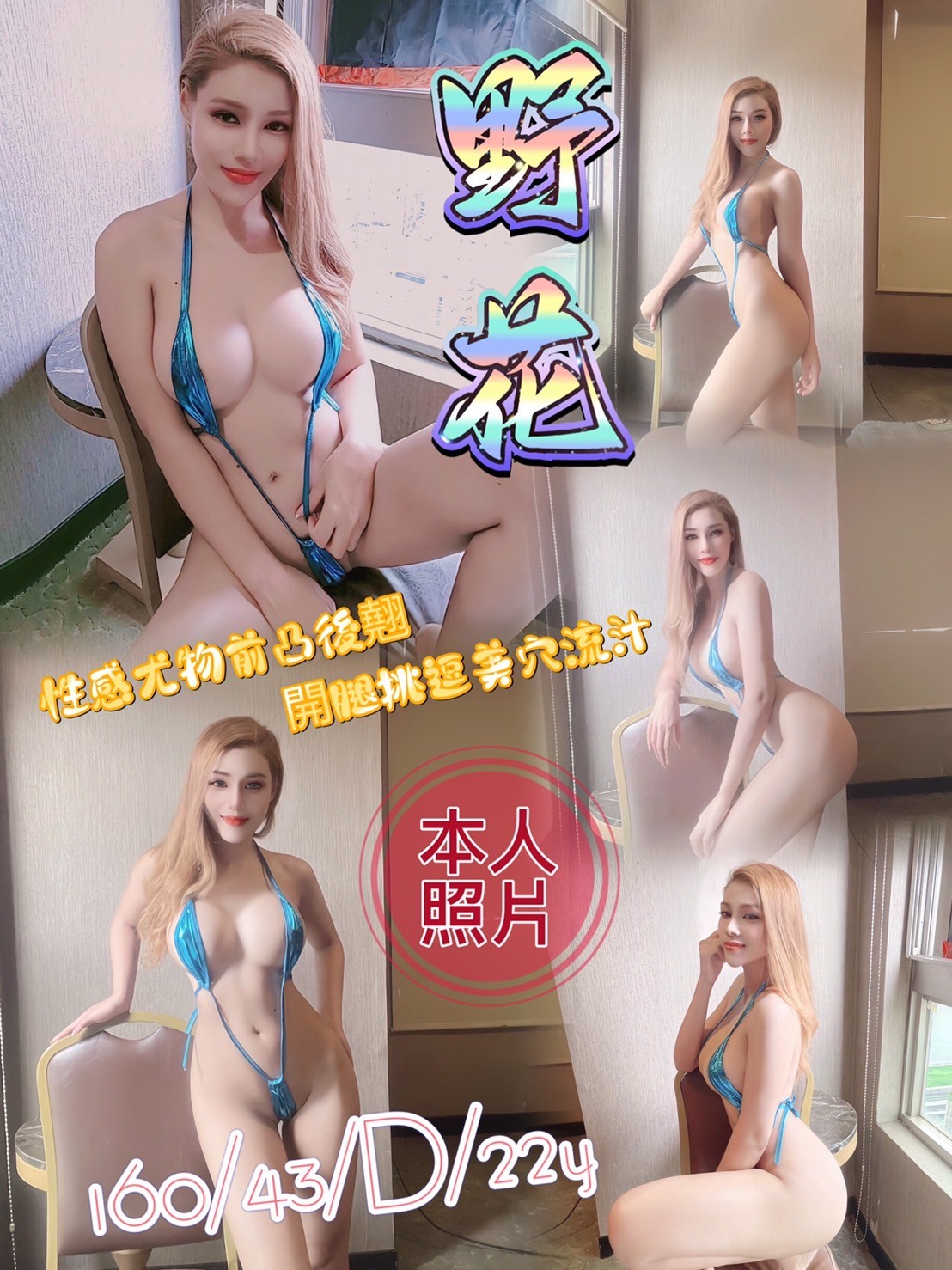 馬來西亞基隆野花定點圖片