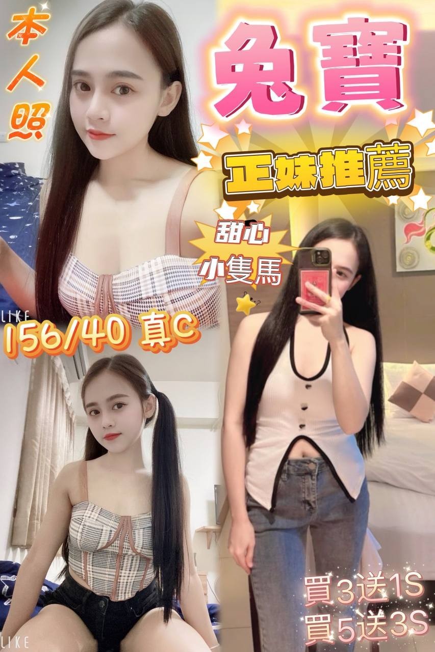 馬來西亞宜蘭兔寶定點圖片