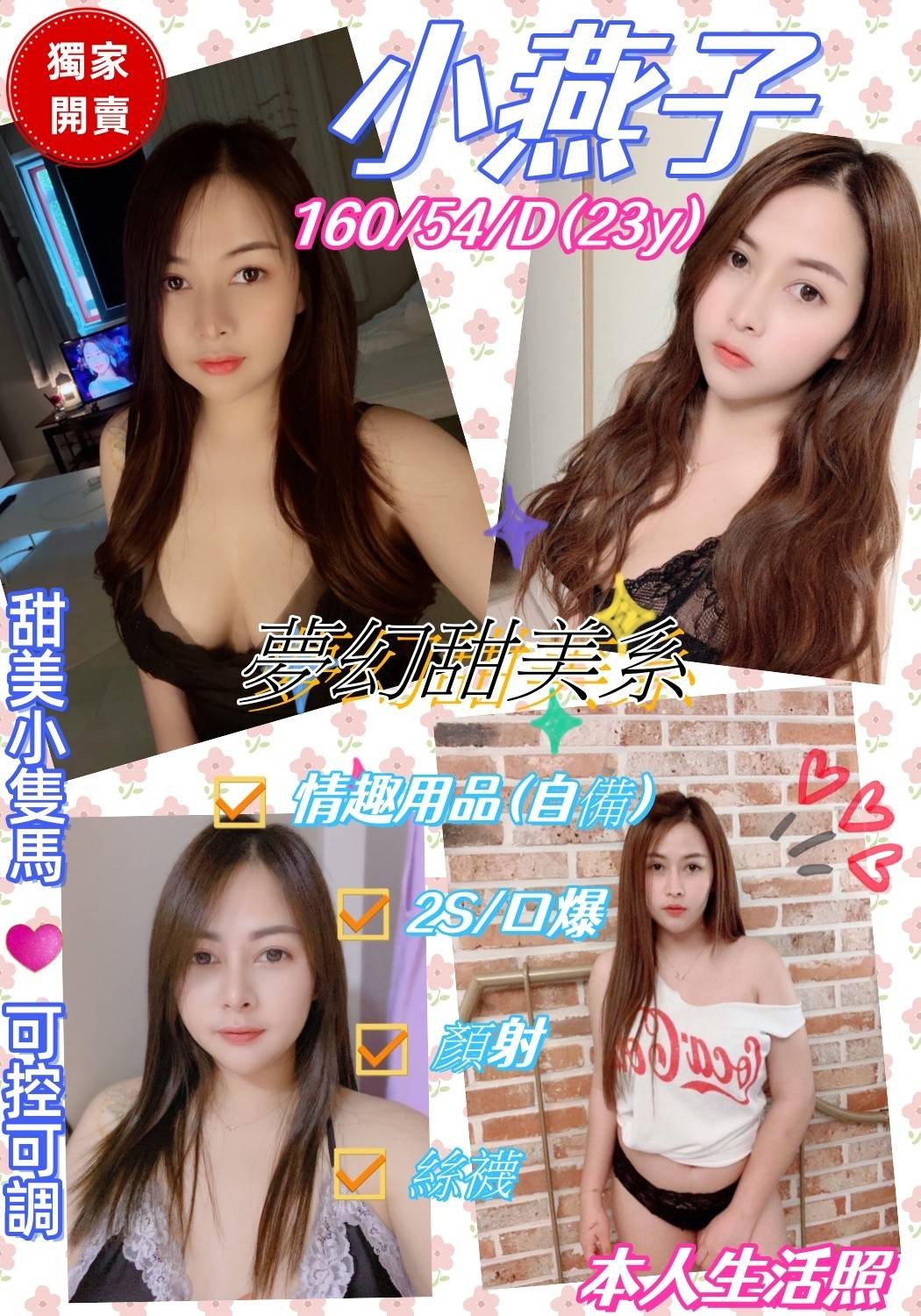 馬來西亞屏東小燕子定點圖片