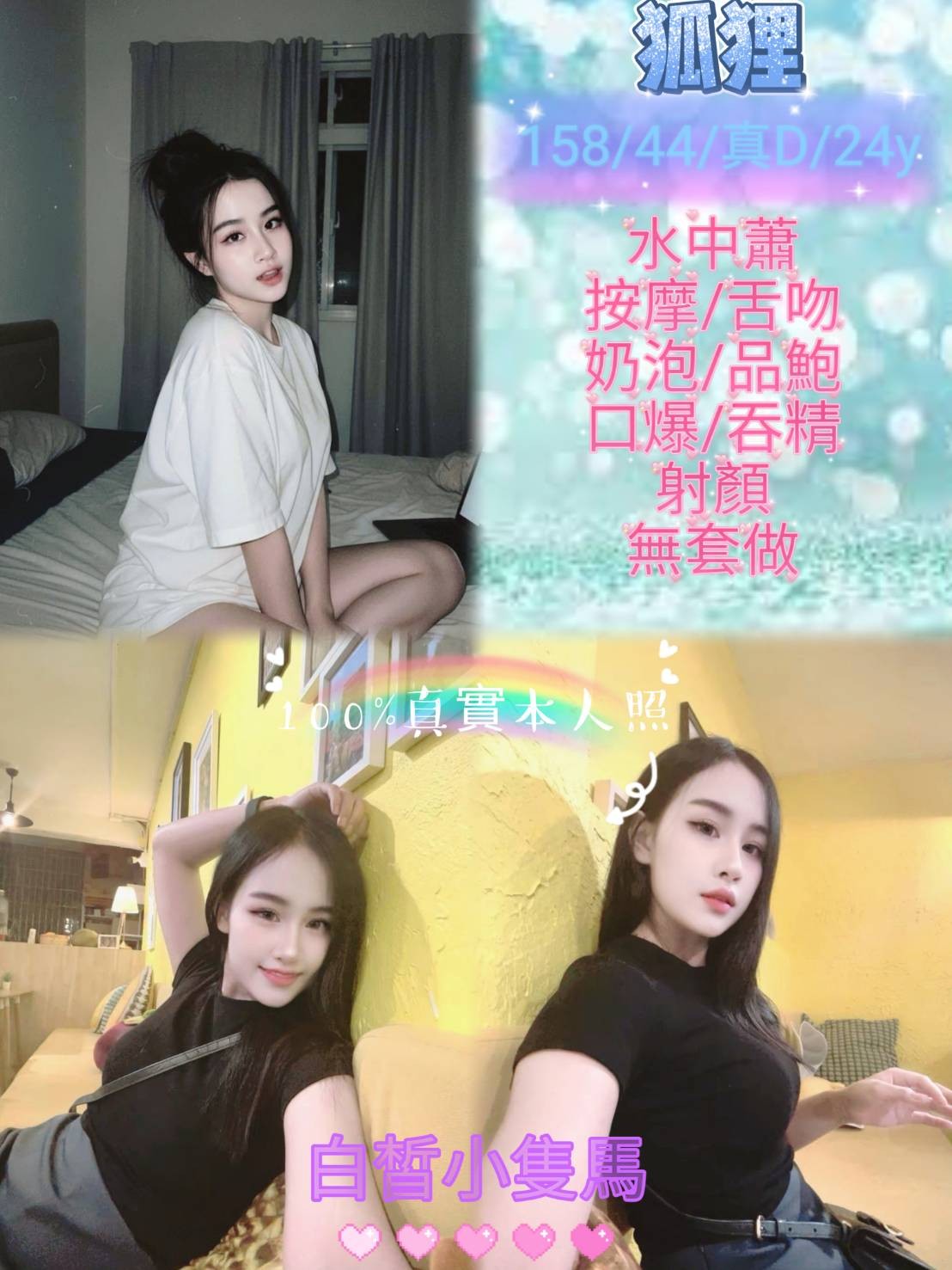 馬來西亞新北狐狸定點圖片