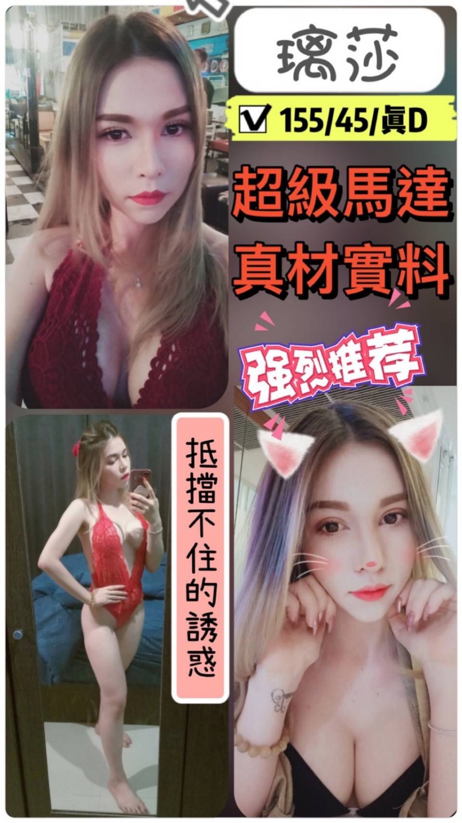 馬來西亞新竹璃莎定點圖片