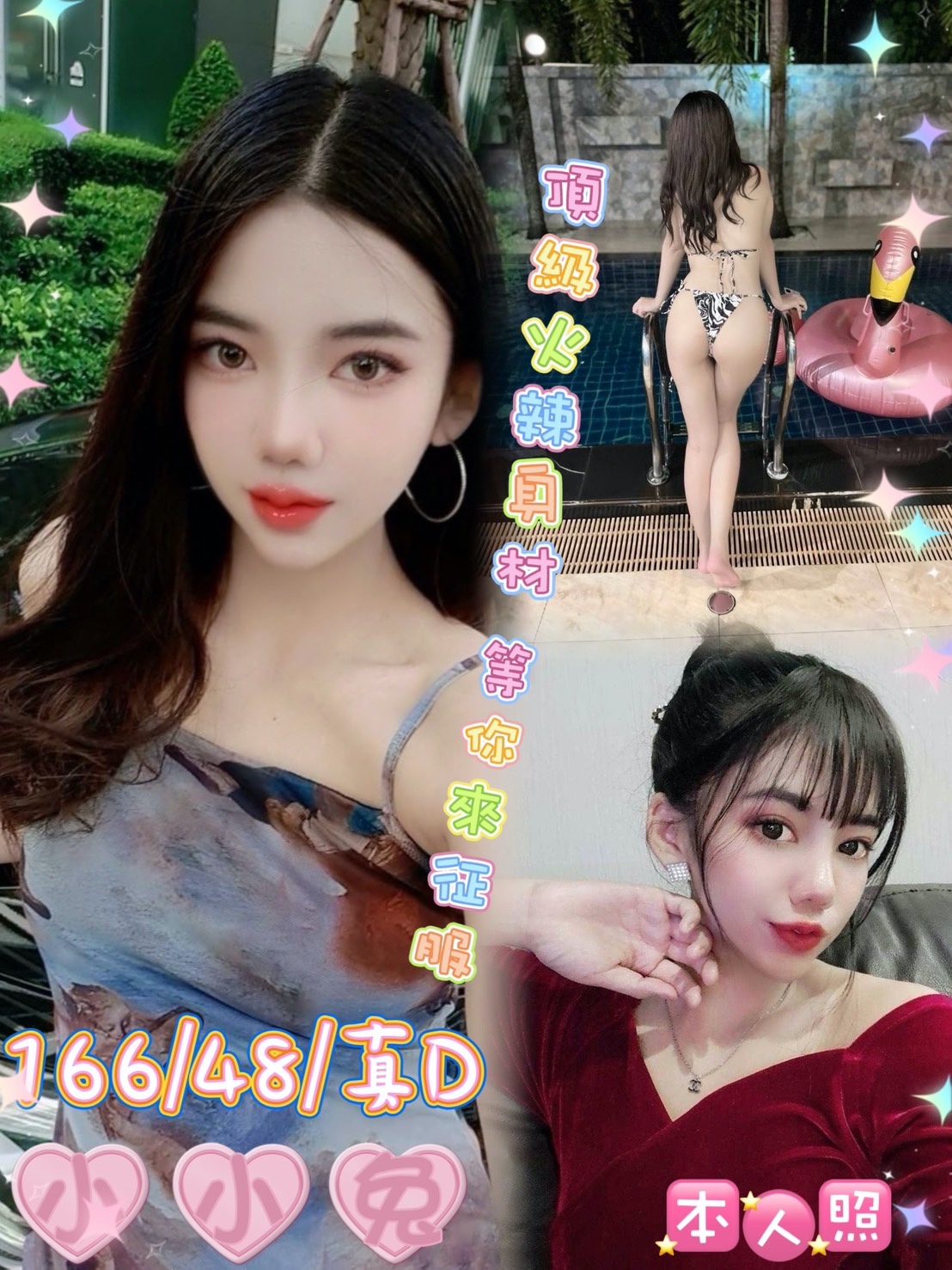 馬來西亞雲林小小兔定點圖片