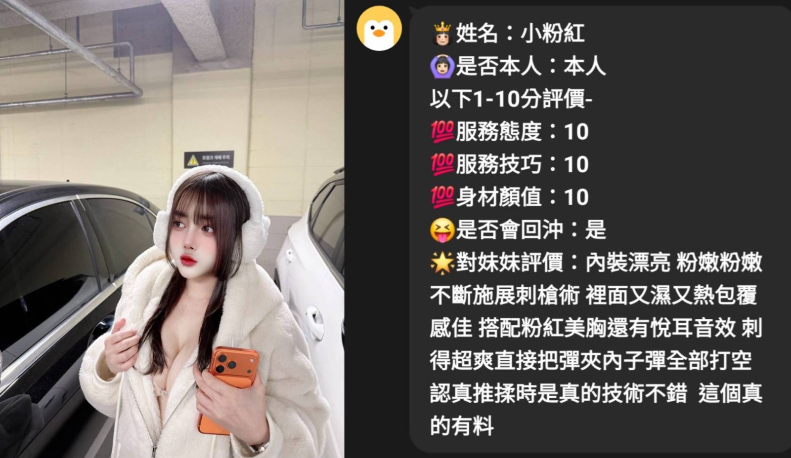 馬來西亞雲林小粉紅定點圖片