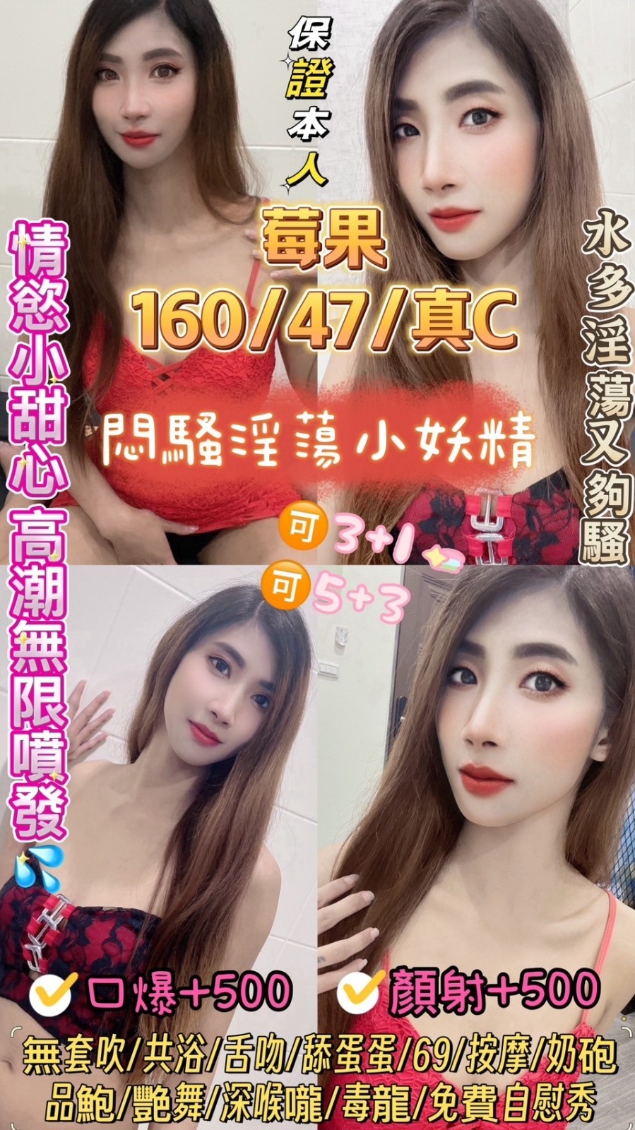 馬來西亞雲林莓果定點圖片