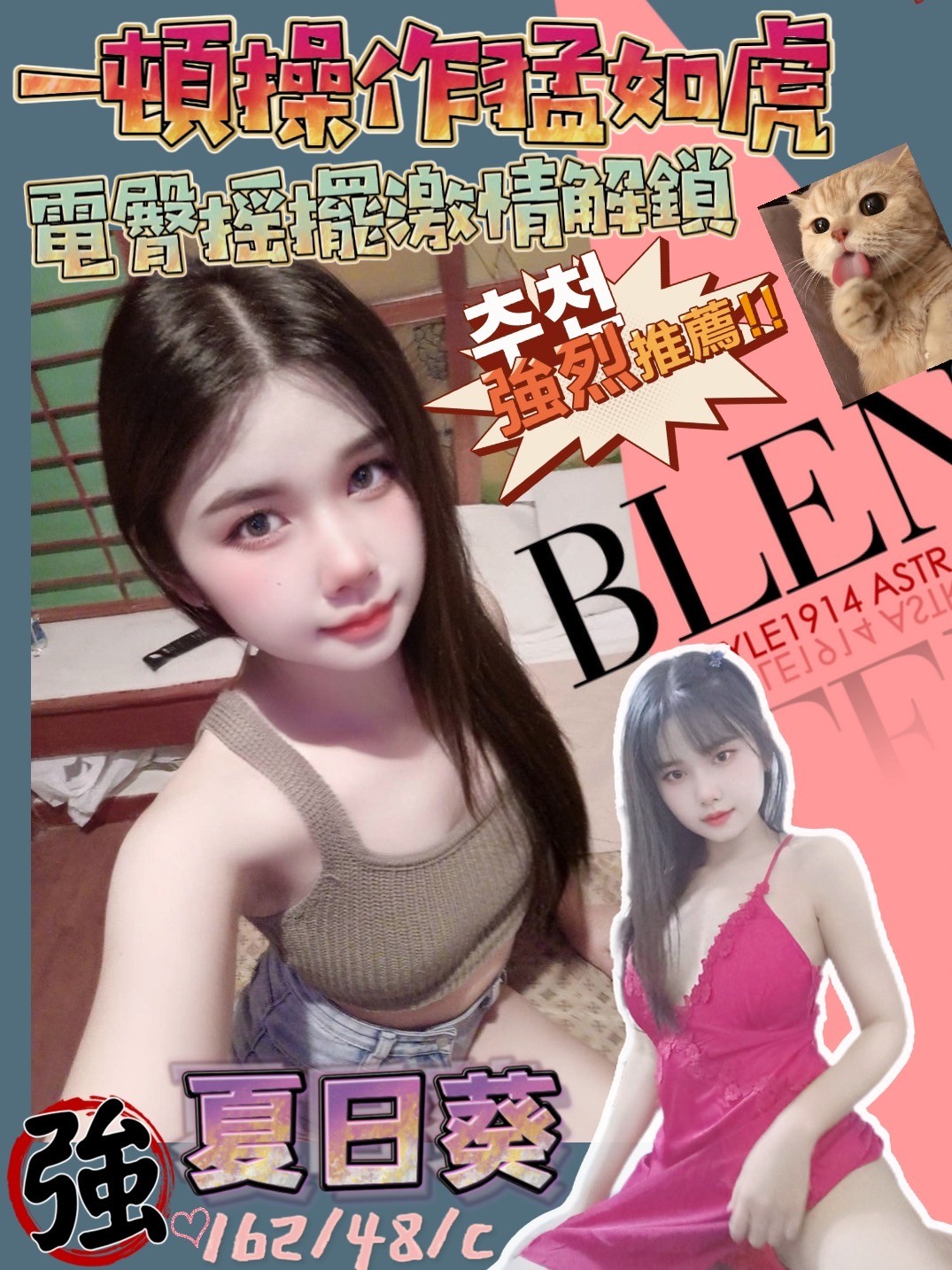 馬來西亞高雄夏日葵定點圖片