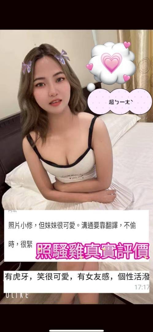 馬來西亞高雄照騷雞定點圖片